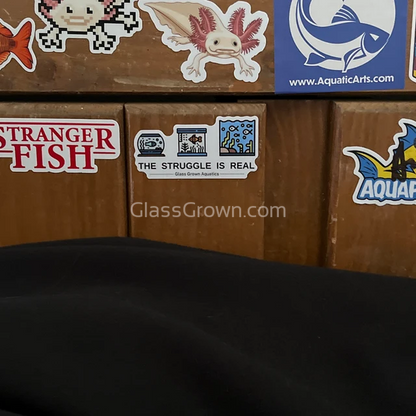 Fish Tank Struggles Decal Sticker