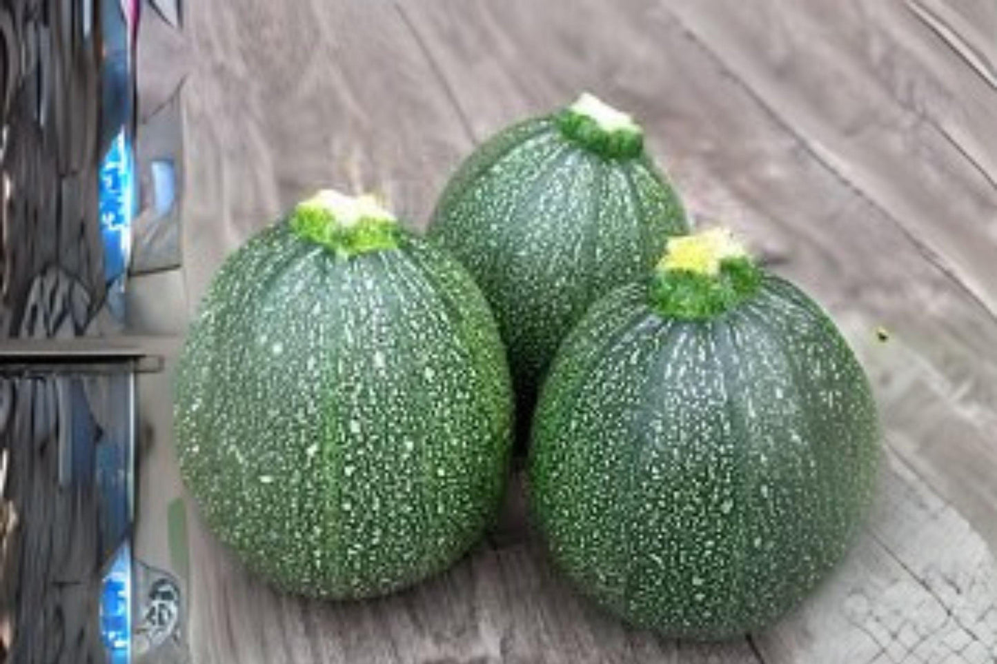 Summer Squash Round Zucchini Seeds, Heirloom Cucurbita pepo, Compact Bush Variety for Container Gardening