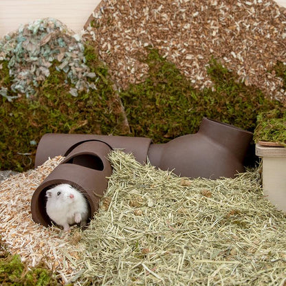 Golden Silk Bear Ceramic Hamster Zisha Tunnel Room - Ultimate Luxury Hamster Habitat