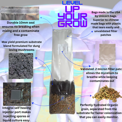 All In One Mushroom Grow Bag Bundle 16 Count