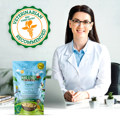 Tropical Feast On The Fly