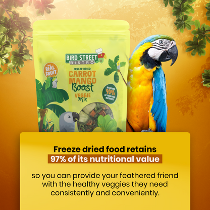 Parrot Food Super Pack