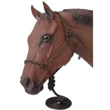Tan/Black Rope Halter
