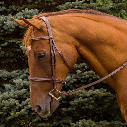 Henri de Rivel Pro Mono Crown Fancy Stitched Padded Bridle