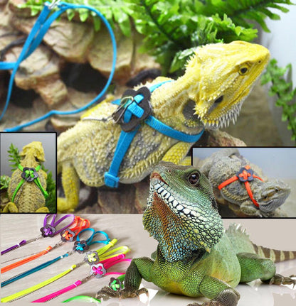 Lizard Adventure Harness And Leash Set