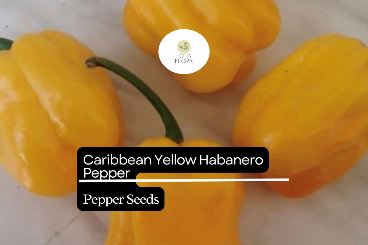 25 Caribbean Yellow Habanero Pepper Seeds – Heirloom, Non-GMO, 300,000+ Scoville Heat