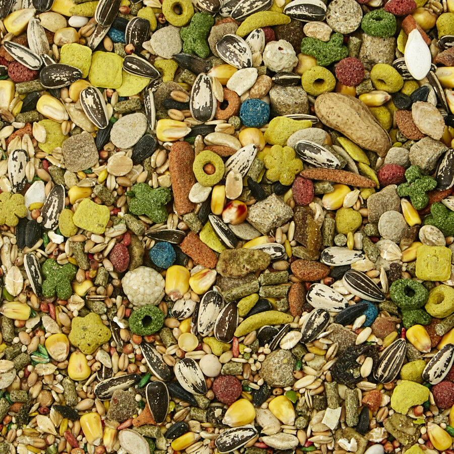 Kaytee Fiesta Mouse and Rat Food 2 lb