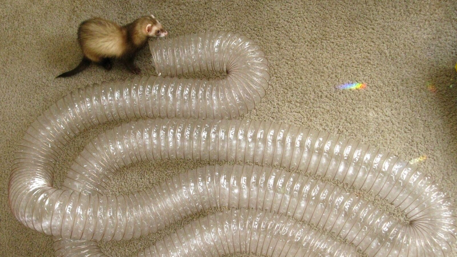 Marshall Pet Products Ferret Super Thru-Way Toy Tunnel Copper 15 ft