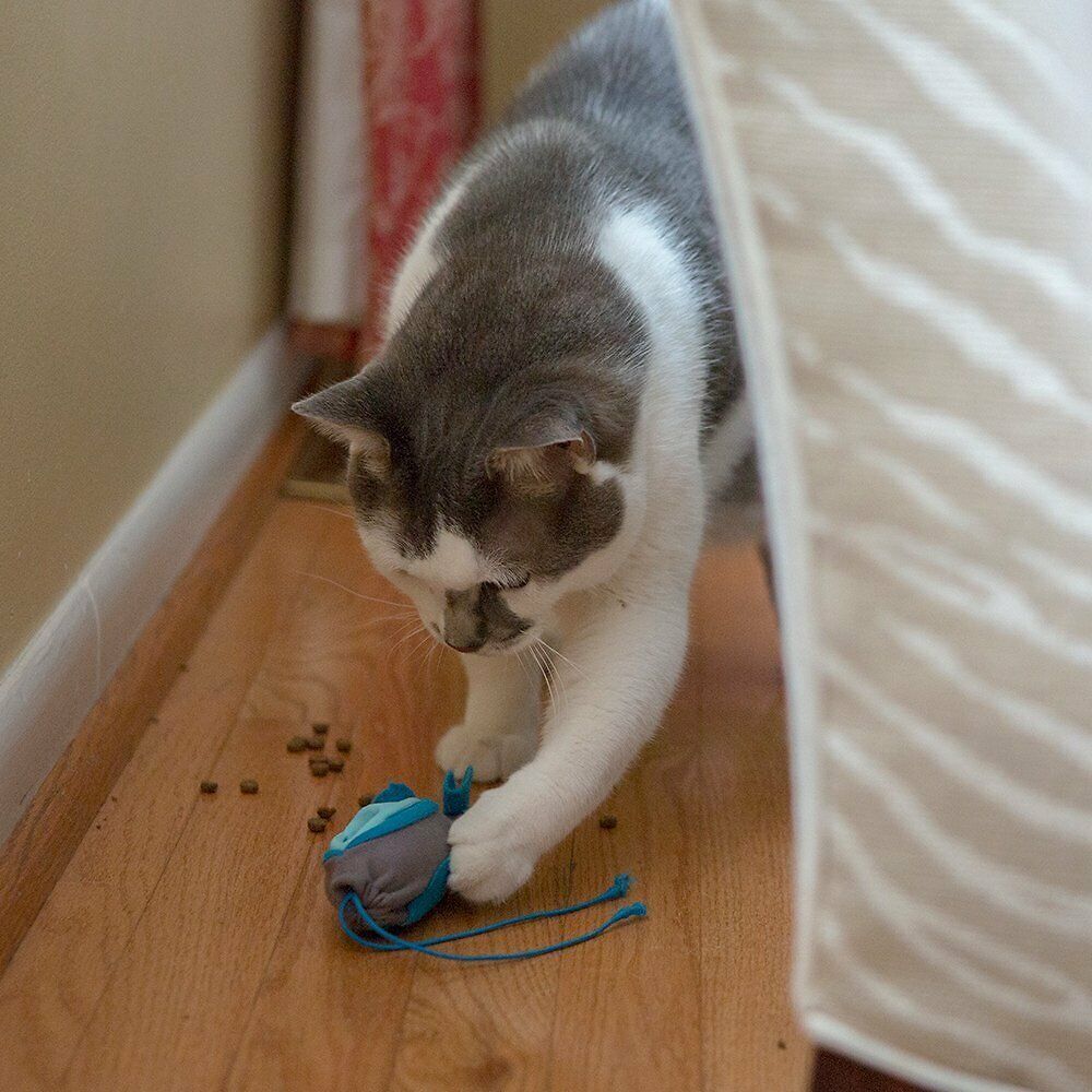 Doc and Phoebe Indoor Hunting Cat Feeder Mouse Blue; Gray 3 Pack