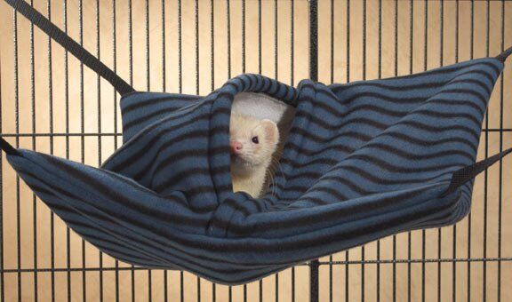 Marshall Pet Products Ferrets Hanging Nap Sack Assorted