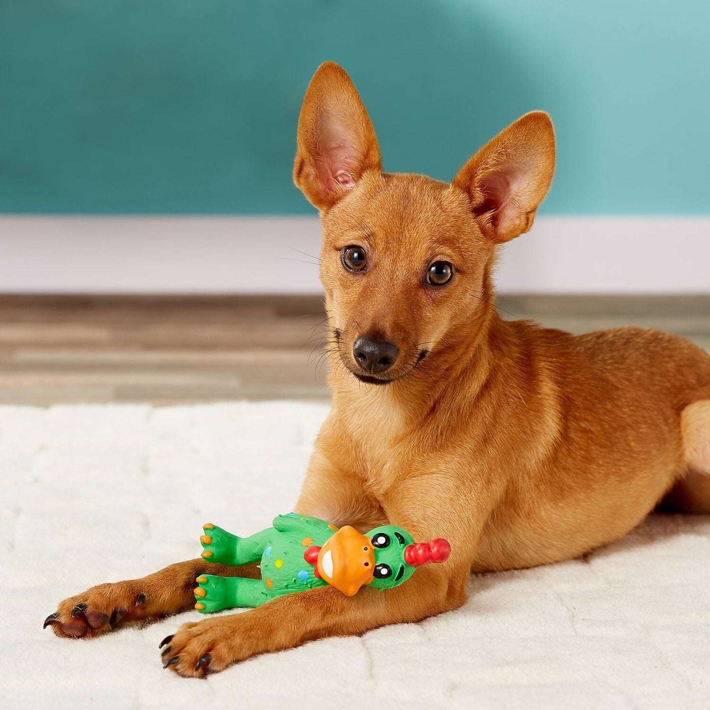 Multipet Globkens Chicken Dog Toy Assorted Mini 5.6in