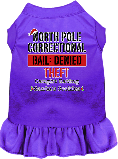 Christmas Pet Dress "North Pole Correctional"
