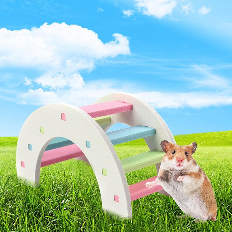 Vibrant Hamster Haven