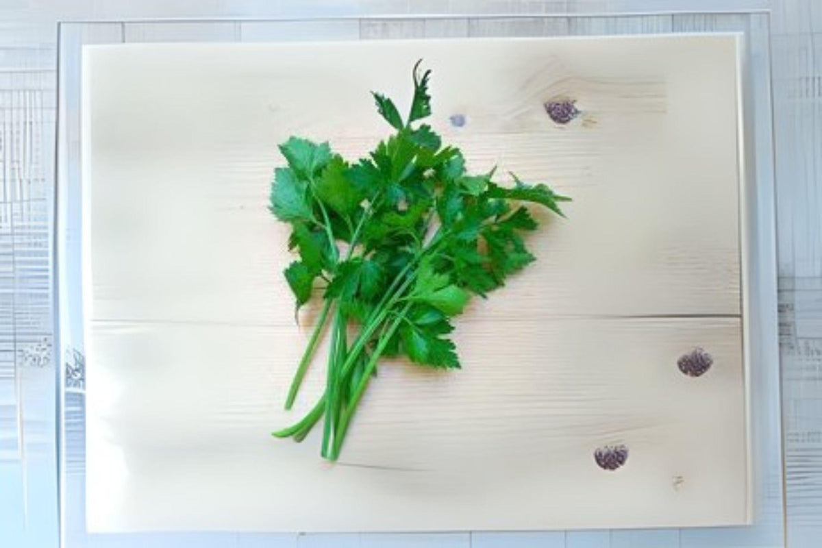 Chinese Celery Kintsai Seeds - Aromatic Dark Green Heirloom, Thin Stalks, Asian Cooking, Apium graveolens var. secalinum