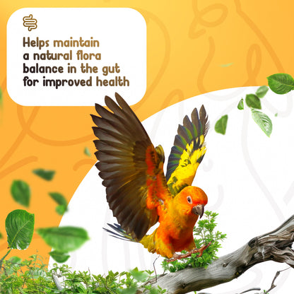 Organic Pre Pro Post Biotics Blend For Parrots 1 06Oz