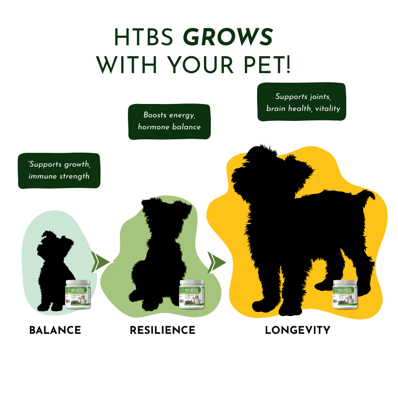 Holistic Total Body Support Multivitamin Glandular Support For Dogs And Cats