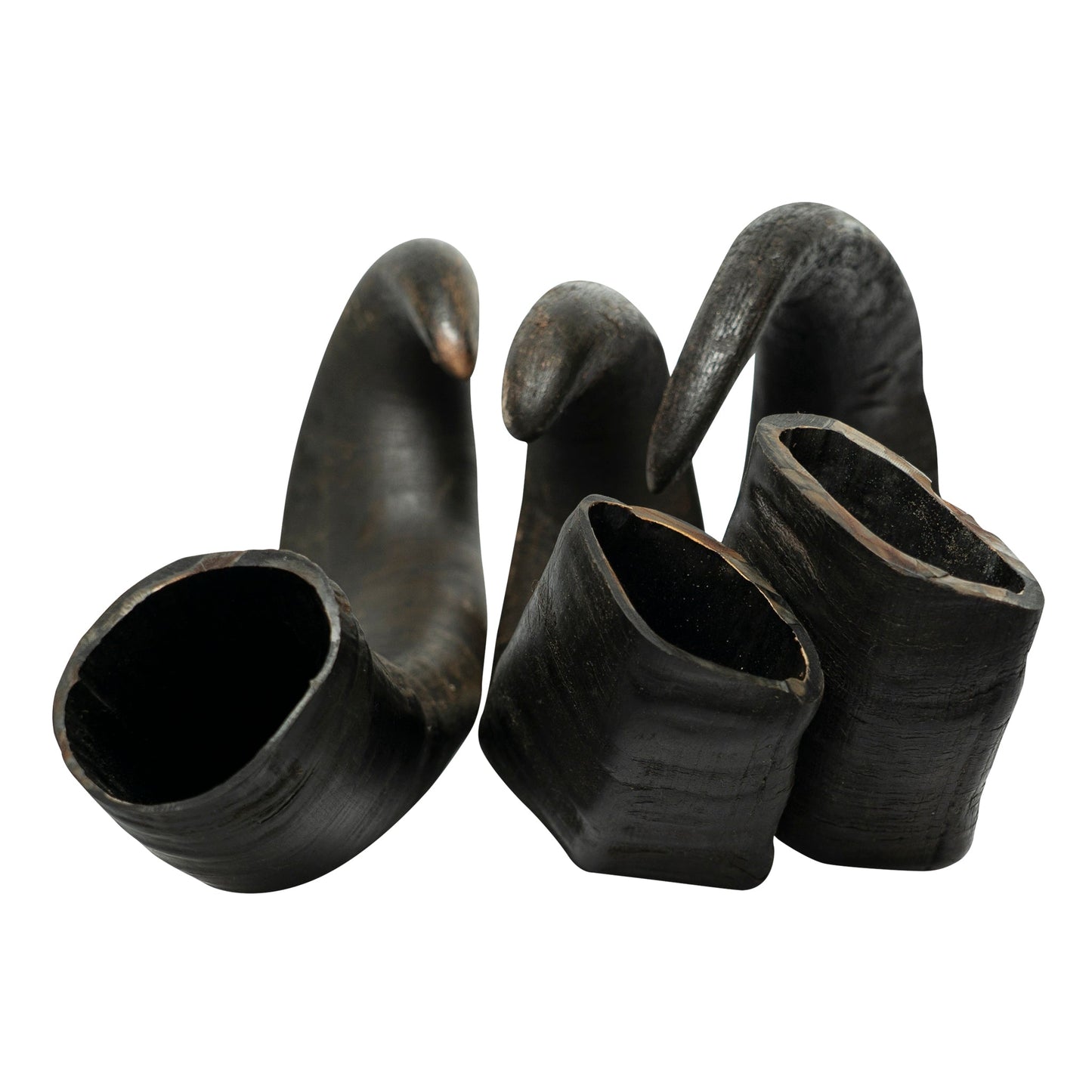 Water Buffalo Horn Dog Chews-2 Count-15 oz (WSP)