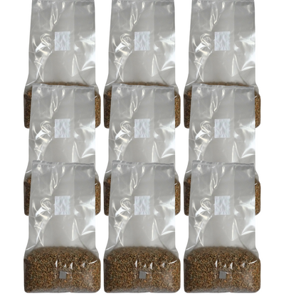 Sterile Mushroom Grain Spawn Bag (5 Pound)