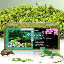 8 8 Oz Sphagnum Moss For Reptiles 30 Quarts Plants And Terrariums Forest Moss Bedding For Leopard Geckos Ball Pythons And More Green 250G