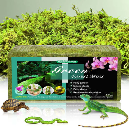 8 8 Oz Sphagnum Moss For Reptiles 30 Quarts Plants And Terrariums Forest Moss Bedding For Leopard Geckos Ball Pythons And More Green 250G