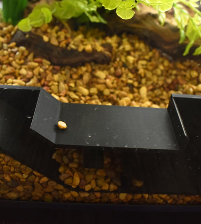 Chatelet Aquarium Underground Tunnel | Fish & Shrimp Hideout for Aquariums | Unique Underground Viewing Tunnel | Made in USA (Black)