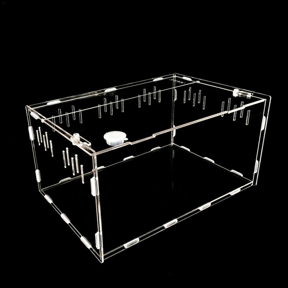 Reptile Haven: Crystal Clear Breeding Box For Your Beloved Pets