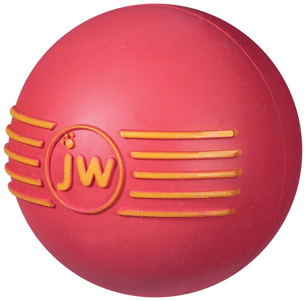 JW iSqueak Ball Dog Toy Medium