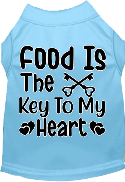 Fun Cat or Dog Shirt for Pets "Food is the Key"