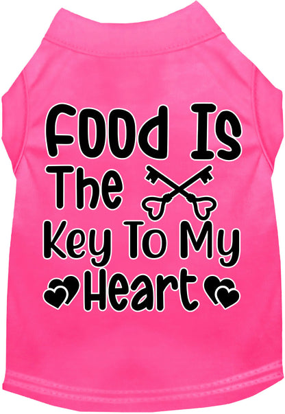 Fun Cat or Dog Shirt for Pets "Food is the Key"