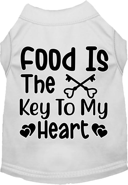 Fun Cat or Dog Shirt for Pets "Food is the Key"