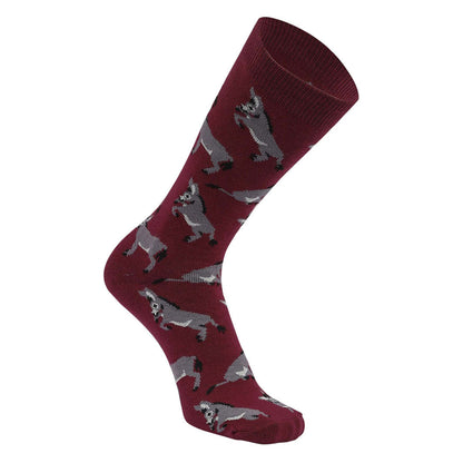 AWST Int'l Playful Donkeys Socks 6 pack