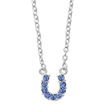AWST Int'l Aqua Rhinestone Horseshoe Necklace w/Horse Head Gift Box