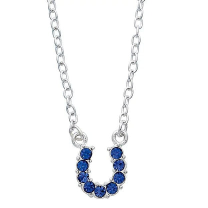 AWST Int'l Aqua Rhinestone Horseshoe Necklace w/Horse Head Gift Box