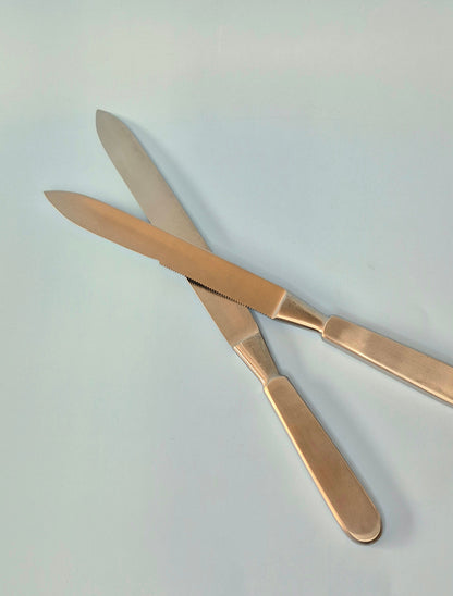 Liston Amputation Knife (2 variants)