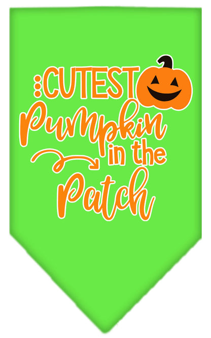Halloween Pet and Dog Bandana Screen Printed, "Cutest Pumpkin In The Patch"