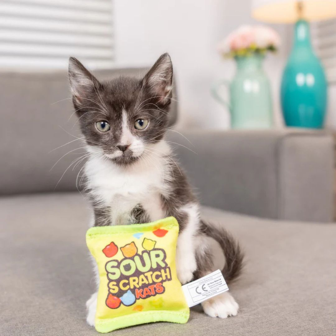 H&K C Sour Scratch Kats Organic Catnip Plush Crinkle