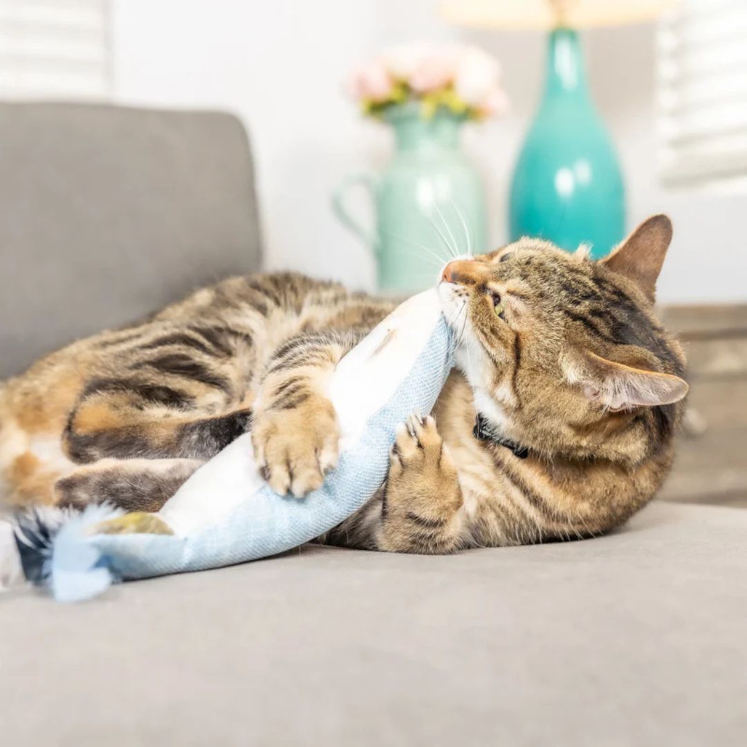 H&K C Kicker Sardine Organic Catnip Plush Crinkle