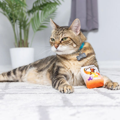 H&K C Go Fish Phishy Organic Catnip Plush Crinkle