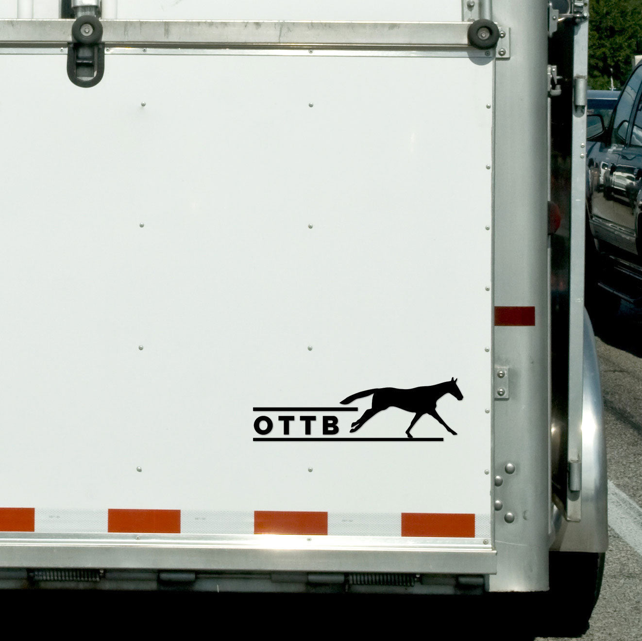 Dapplebay OTTB - Vinyl Decal-Black