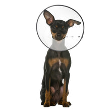 ZenPet E-Clear Plastic Recovery Collar Size Small