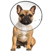 ZenPet E-Clear Plastic Recovery Collar Size Medium