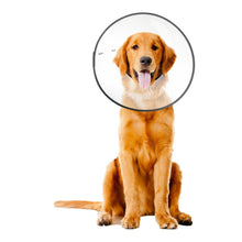 ZenPet E-Clear Plastic Recovery Collar Size Large