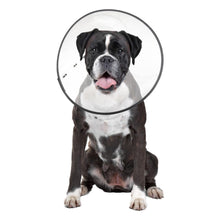 ZenPet E-Clear Plastic Recovery Collar Size X-Large