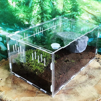 Reptile Haven: Crystal Clear Breeding Box For Your Beloved Pets