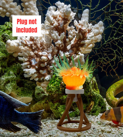 Chatelet REEFSHAPE Coral Frag Plug Stand for Coral Stability | 5 Pack Aquarium Substrate Frag Holder | Coral Protector Inserts | Made in USA