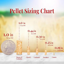 Lafeber Premium Diet Parrot Pellets Parrot 5lb