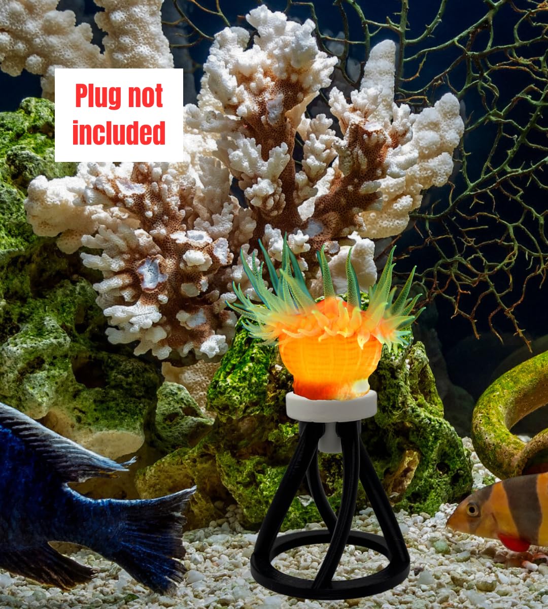 Chatelet REEFSHAPE Coral Frag Plug Stand for Coral Stability | 5 Pack Aquarium Substrate Frag Holder | Coral Protector Inserts | Made in USA