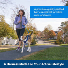 Petsafe Dog Easy Sport Harness Teal Medium