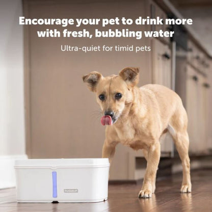 Petsafe Dog & Cat Viva Fountain Plastic Tray 140oz.