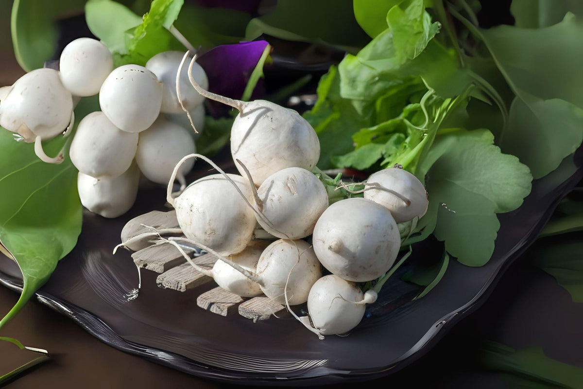 Turnip Seeds Seven Top | Heirloom Leafy Greens | Brassica rapa var. rapa | Garden Vegetable Seeds